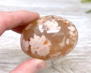 Flower Agate Chunky Palm Stone #4