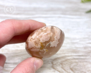 Flower Agate Chunky Palm Stone #4