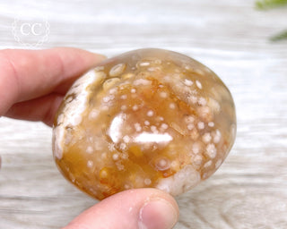 Flower Agate Chunky Palm Stone #6