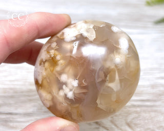 Flower Agate Chunky Palm Stone #6
