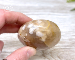 Flower Agate Chunky Palm Stone #6
