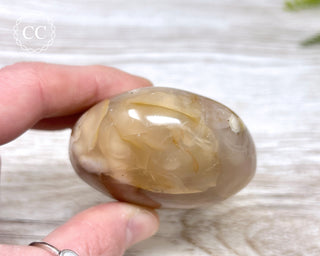 Flower Agate Chunky Palm Stone #6