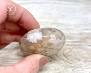 Flower Agate Chunky Palm Stone #7