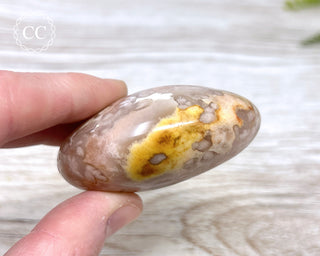 Flower Agate Chunky Palm Stone #1