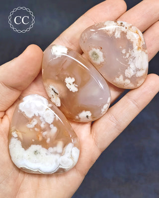 Flower Agate Flat Palm Stones in hand