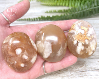 Flower Agate Chunky Palm Stone