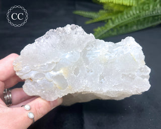 Flower Quartz #1
