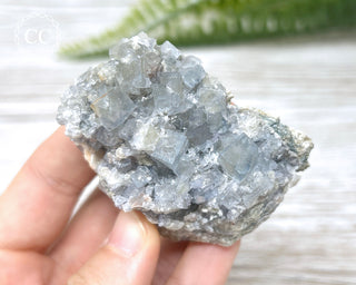 Fluorite - Clara Mine #1