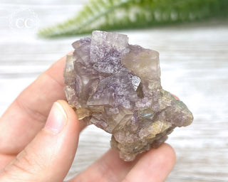 Fluorite - Clara Mine #3