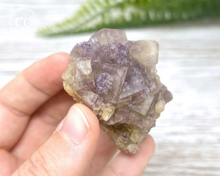 Fluorite - Clara Mine #3