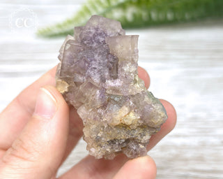 Fluorite - Clara Mine #3