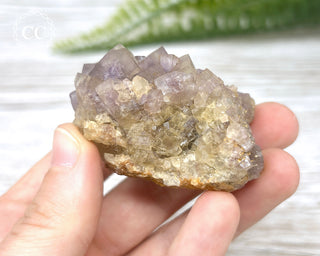 Fluorite - Clara Mine #3