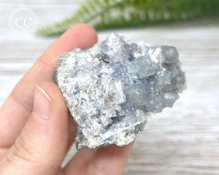 Fluorite - Clara Mine #1