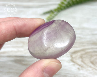 Fluorite Palm Stone #5