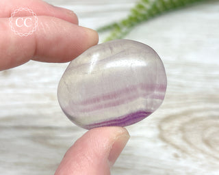 Fluorite Palm Stone #5