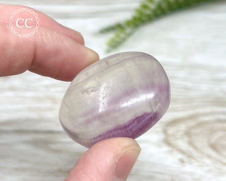 Fluorite Palm Stone #5