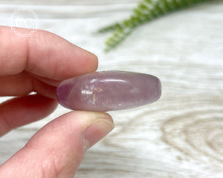 Fluorite Palm Stone #5