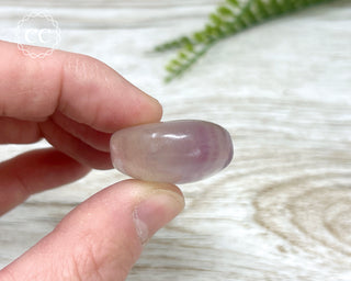 Fluorite Palm Stone #5