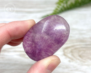 Fluorite Palm Stone #3