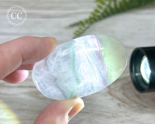 Fluorite Palm Stone #6