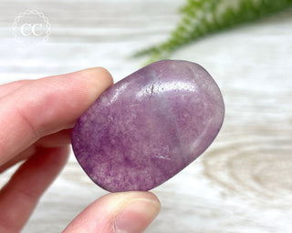 Fluorite Palm Stone #3