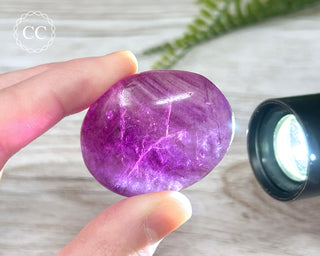 Fluorite Palm Stone #7