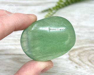 Fluorite Palm Stone #12