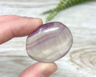 Fluorite Palm Stone #5