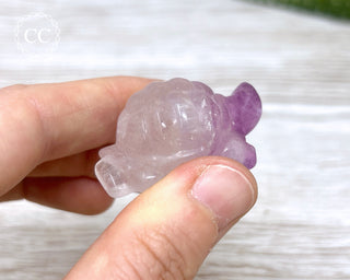 Fluorite Tortoise #1