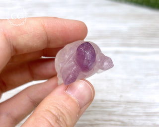 Fluorite Tortoise #1