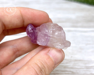 Fluorite Tortoise #1