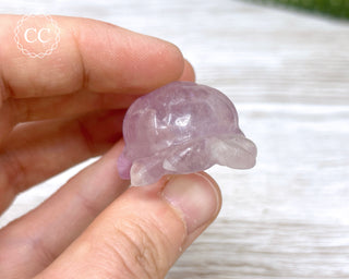 Fluorite Tortoise #1