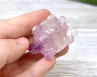 Fluorite Tortoise #1