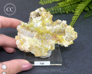 Quartz After Fluorite #1