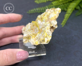 Quartz After Fluorite #1