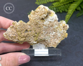 Quartz After Fluorite #1