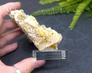 Quartz After Fluorite #1