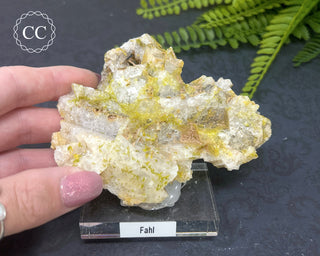 Quartz After Fluorite #1