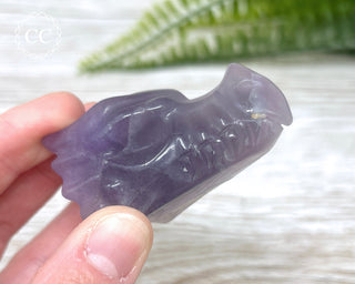 DISCOUNTED Fluorite Dragon Skull #1