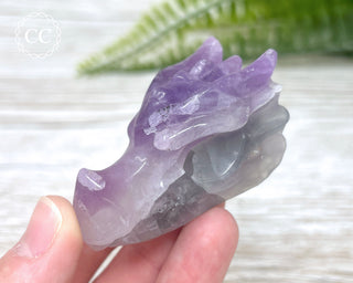 Fluorite Dragon Skull #2