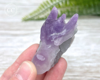 Fluorite Dragon Skull #2