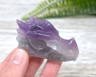 Fluorite Dragon Skull #2