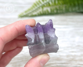 Fluorite Dragon Skull #2