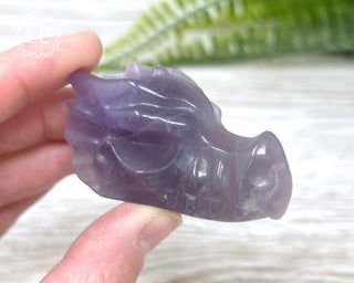 DISCOUNTED Fluorite Dragon Skull #1