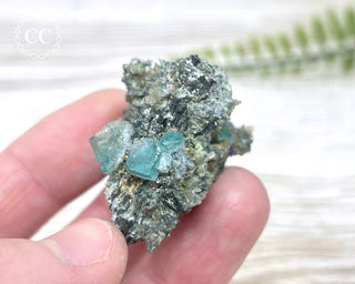 Fluorite with Foitite Tourmaline - Namibia #6