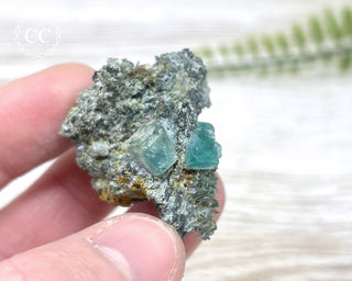 Fluorite with Foitite Tourmaline - Namibia #6