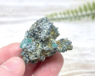 Fluorite with Foitite Tourmaline - Namibia #6