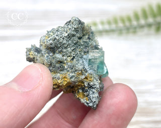 Fluorite with Foitite Tourmaline - Namibia #6