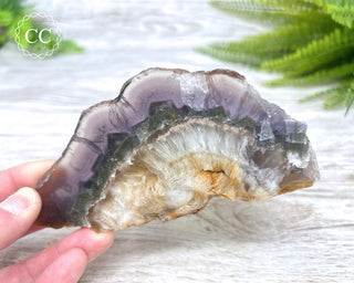 Fluorite with Marcasite Slice #1
