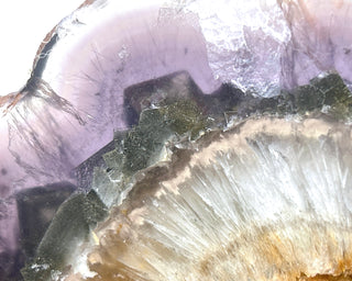 Fluorite with Marcasite Slice #1